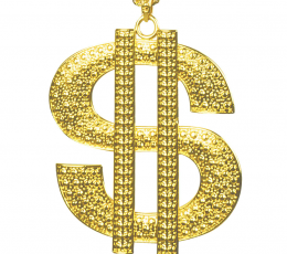Kaelakett „Dollar“ 1