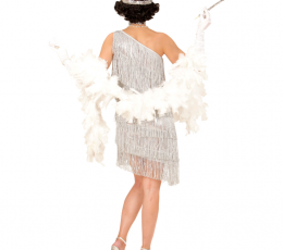 Kostüüm "Silver retro" (L) 1