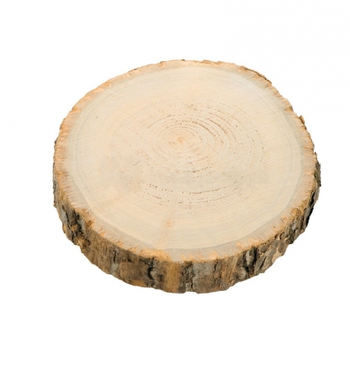 Puidust alus (17x2 cm)   