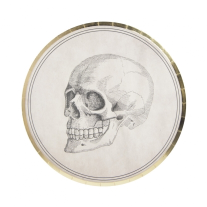 Taldrikud "Saladuste labor" (8 tk./ 22 cm)