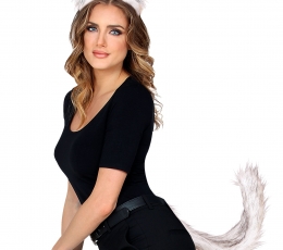 Aksesuāru komplekts "Vilks" 1