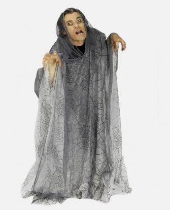 Apmetnis "Zirnekļa spoks"