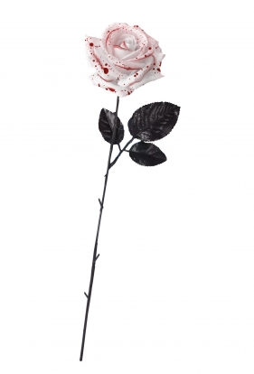 Asins roze (42 cm)