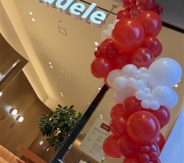 Balonu virtene "Citadele" 0