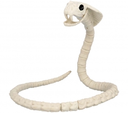 Čūskas skelets (102 cm)