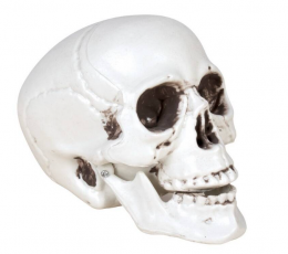 Dekorācija "Galvaskauss" (8 cm) 1