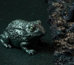 Dekorācija "Krupis" (12 cm) 1