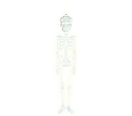 Dekorācija "Tumsā mirdzošs skelets" (75 cm)