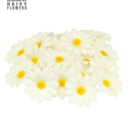 Dekorācijas "Margrietiņa" (20 gab.) 2