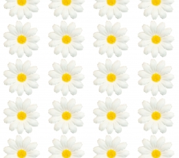 Dekorācijas "Margrietiņa" (20 gab.) 1