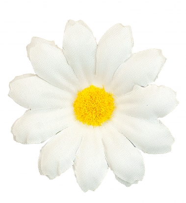 Dekorācijas "Margrietiņa" (20 gab.)