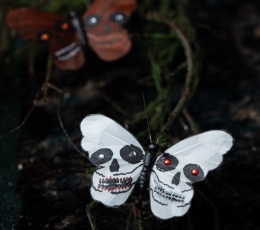 Dekoratīvās piespraudes "Galvaskausa tauriņi" 1