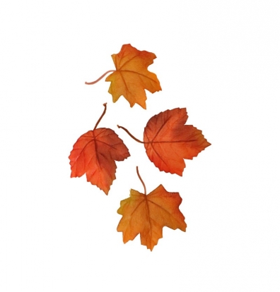 Dekoratīvās kļavu lapas (12 gab.)