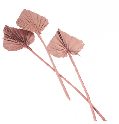 Dekoratīvas palmu lapas, rozā dūmakainā krāsā (10 gab./55 cm)