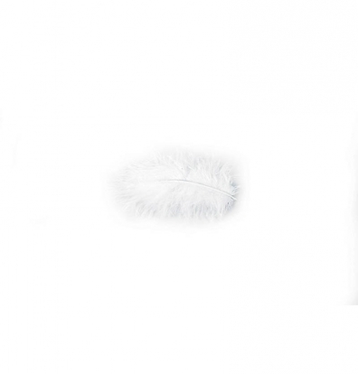 Dekoratīvās spalvas, baltas (10 g./5-10 cm)