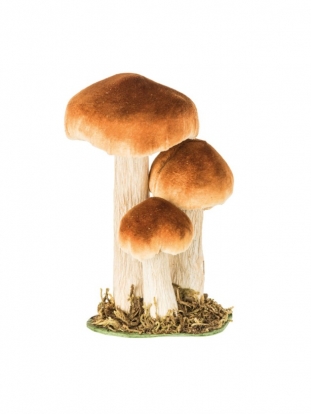 Dekoratīvie sēnes sūnās (3 gab., 8-18 cm)
