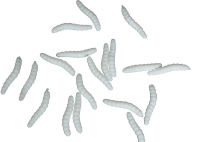 Dekoratīvie tārpi (20 gab.)