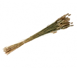Dekoratīvs smilgu pušķis (50 g./80 cm) TIKAI AR VENIPAK!