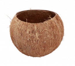 Dekoratīvs trauks "Kokosrieksts" (13 x 10 cm)