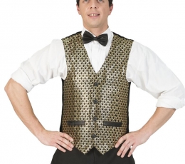 Disko veste, zelta (48/50)