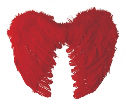Eņģeļa spārni, sarkani (40x32 cm)