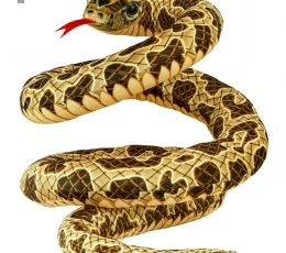 Dzeltenā čūska (200 cm)