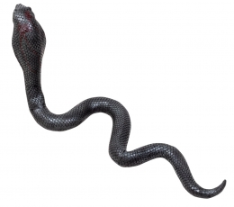 Gumijas kobra (65 cm) 1