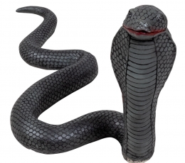 Gumijas kobra (65 cm)