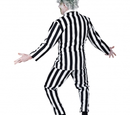 Karnevāla kostīms "Viltīgais spoks" (XL) 2