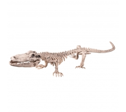 Krokodīla skelets