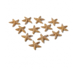Līmējami 3D dekori "Jūras zvaigznes" (12 gab./2 cm)