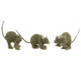 Mataina žurka (13 cm)