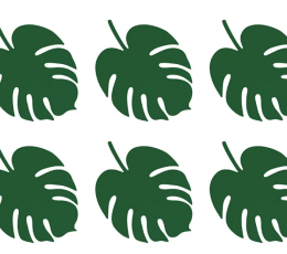 Paklājiņi "Palmu lapa" (6 gab.)