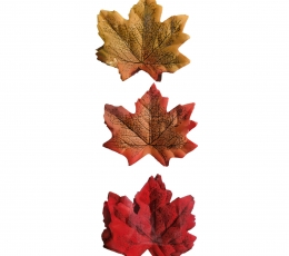 Rudens lapu komplekts (36 gab.)