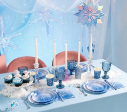 Salvetes "Ledus" (20 gab.) 3