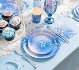 Salvetes "Ledus" (20 gab.) 2