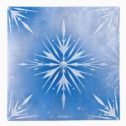 Salvetes "Ledus" (20 gab.)