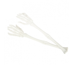 Skeleta rokas, baltas (31,5x6,5 cm)