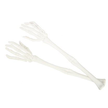 Skeleta rokas, baltas (31,5x6,5 cm)
