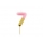 Svecīte "7", rozā-zelta (10 cm)