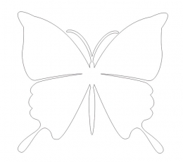 Tauriņi, baltā krāsā (20 gab./ L)