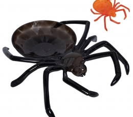 Uzkodu paplāte “Zirneklis” (24 cm)