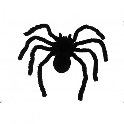 Zirneklis (46 cm)