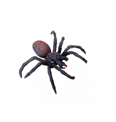 Zirneklis, elastīgs (14x11 cm)