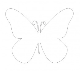 Бабочки, белый (20 шт. / M)