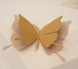 Бабочки, светло-коричневые (20 шт. / M) 1