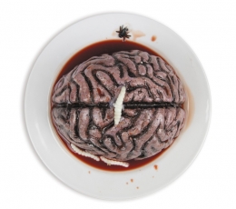 Украшение "Мозг на тарелке" (20 см) 1