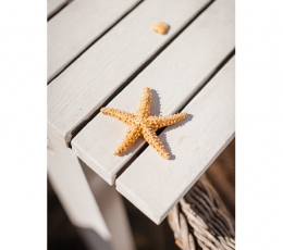 Декоративная морская звезда (6,5 см) 1