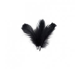 Декоративные перья, черный (5 g.)