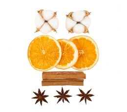 Декоративный набор "Пахнет как Рождество" (10 шт.)